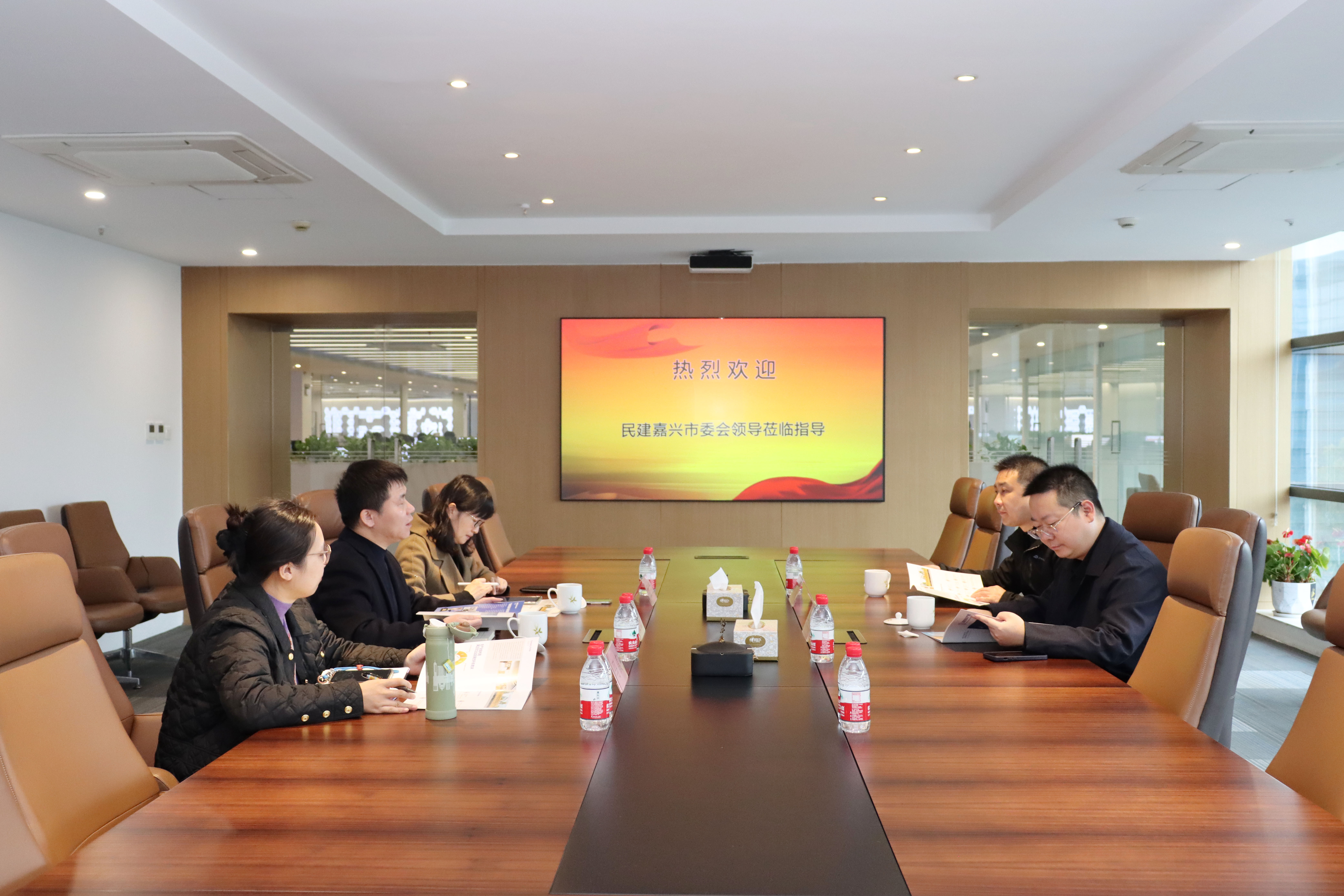 民建嘉興市委會領導蒞臨公司調研